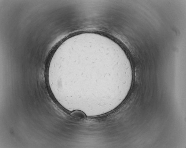 X0000111151452200907281122