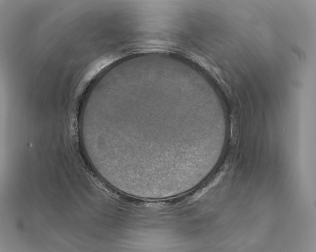 X0000111151453200907281122