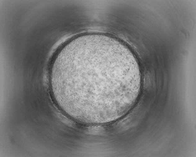 X0000111151454200907281122