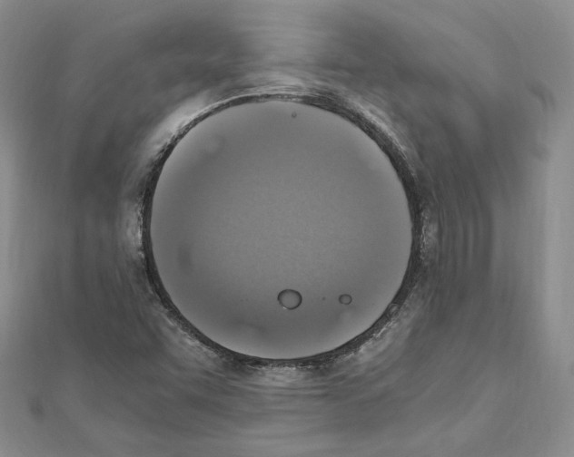 X0000111151455200907281122