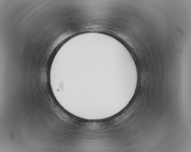 X0000111151458200907281122