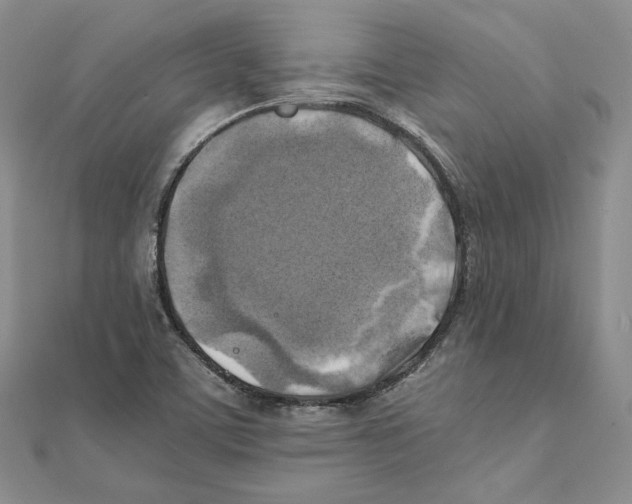 X0000111151459200907281122