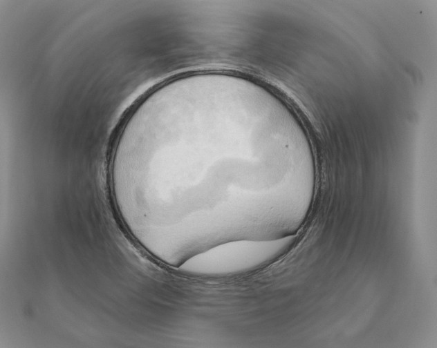 X0000111151460200907281122