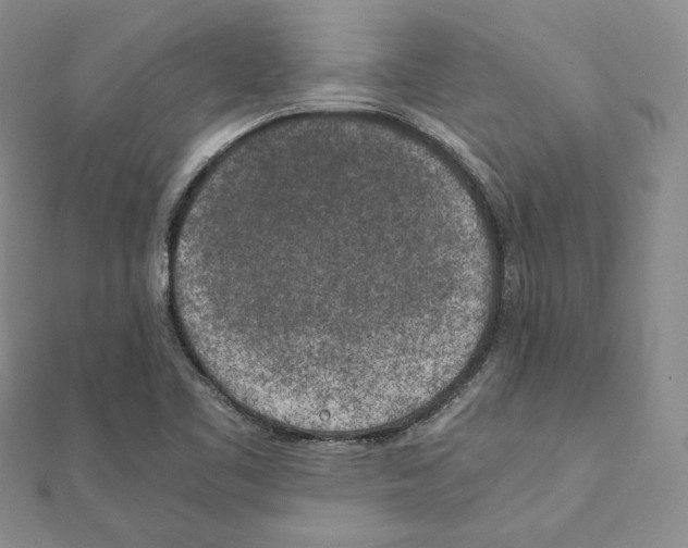 X0000111151461200907281122