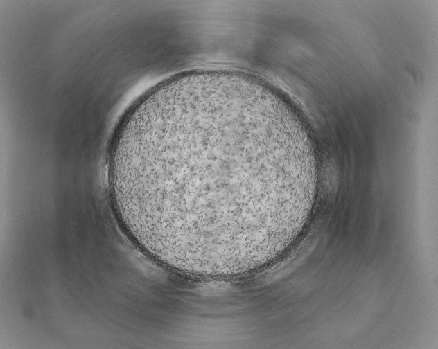 X0000111151462200907281122