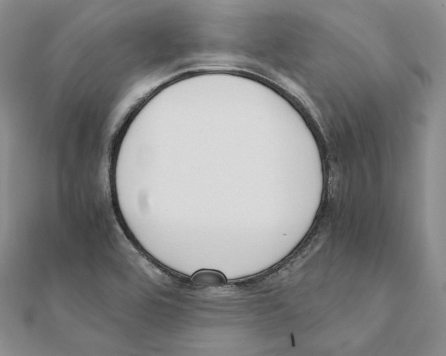 X0000111151464200907281122