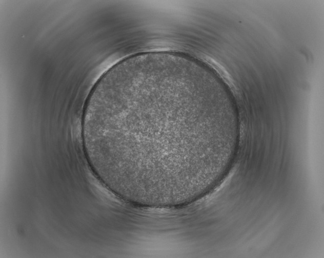 X0000111151465200907281122