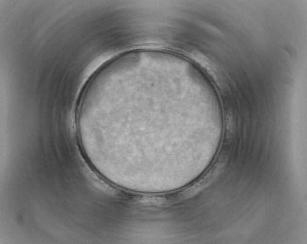 X0000111151466200907281122