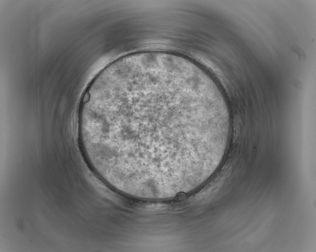 X0000111151467200907281122