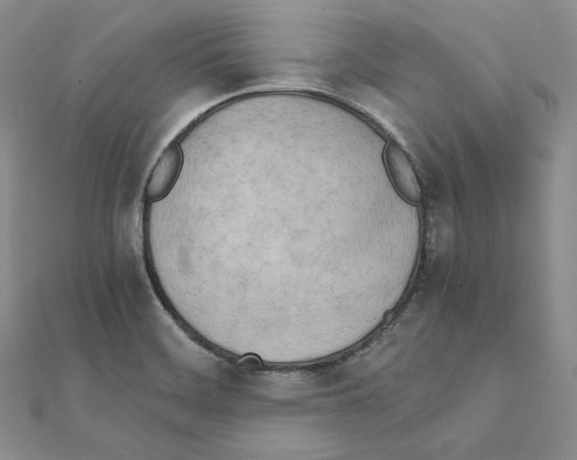 X0000111151468200907281122