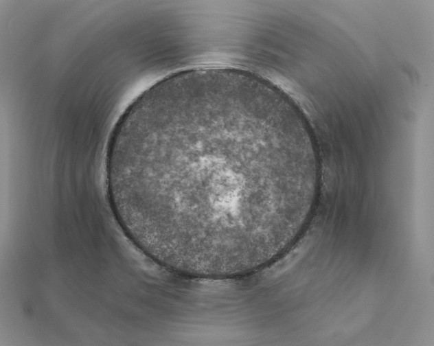 X0000111151469200907281122