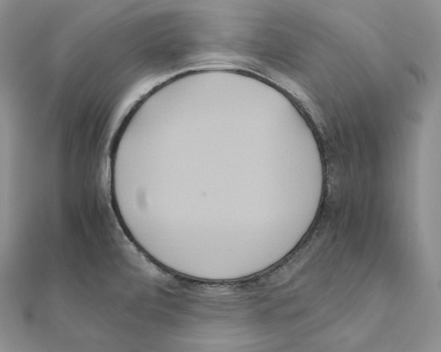 X0000111151472200907281122