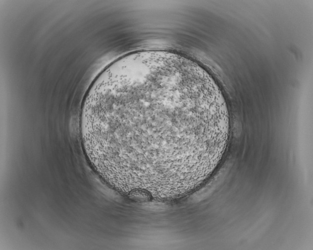 X0000111151473200907281122