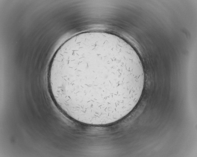 X0000111151475200907281122