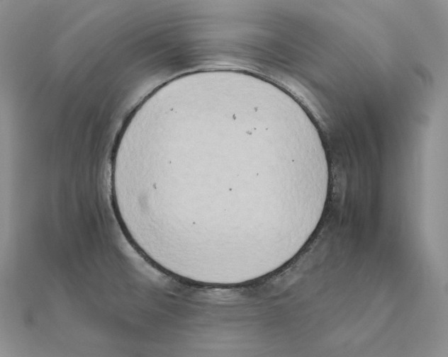 X0000111151476200907281122