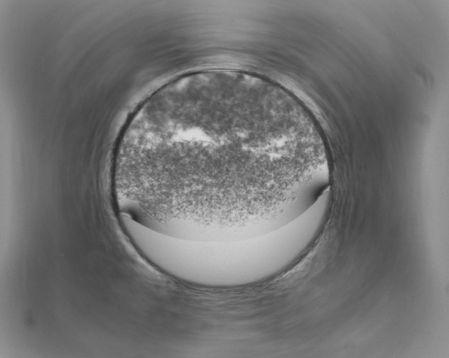 X0000111151477200907281122