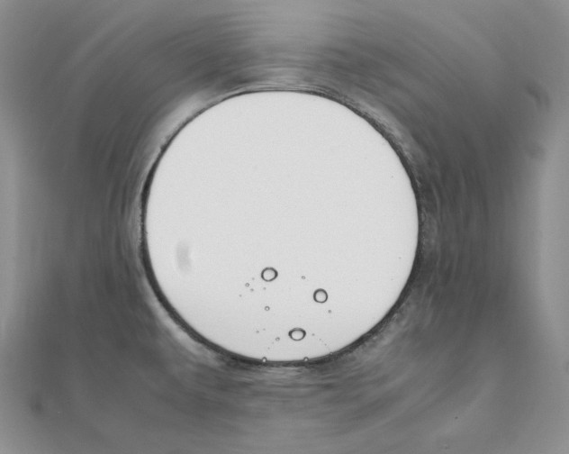 X0000111151479200907281122