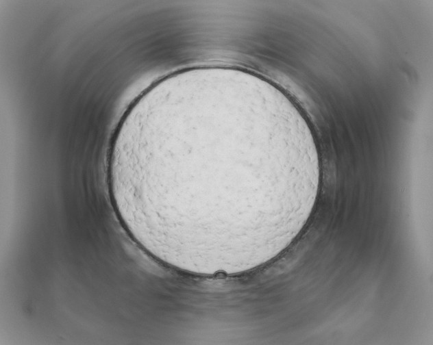 X0000111151480200907281122