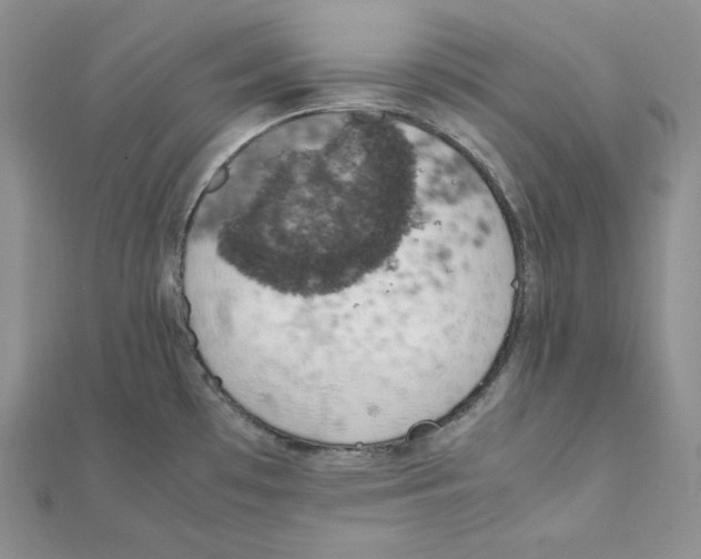 X0000111151481200907281122