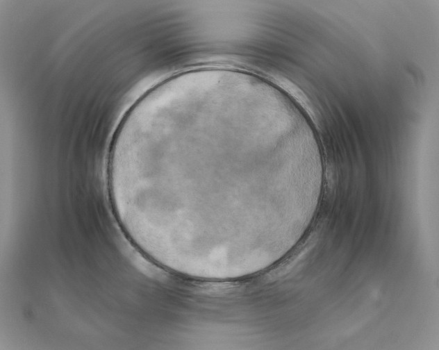 X0000111151482200907281122