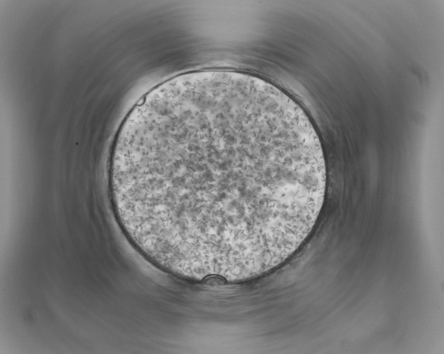 X0000111151483200907281122