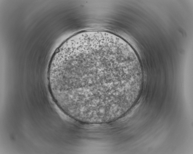 X0000111151485200907281122