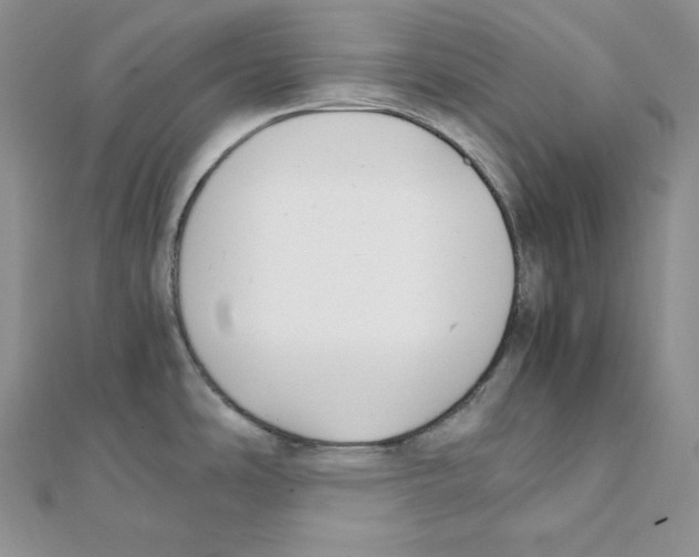 X0000111151486200907281122