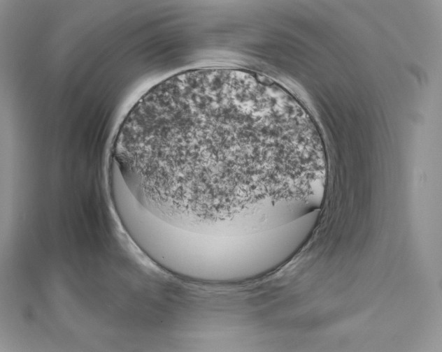 X0000111151488200907281122