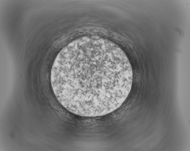 X0000111151489200907281121