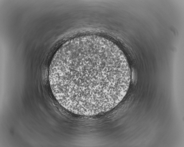 X0000111151492200907281121