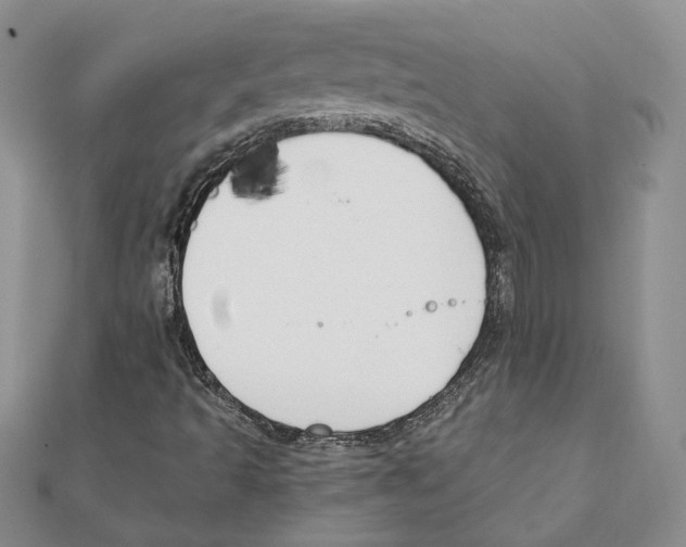 X0000111151493200907281121