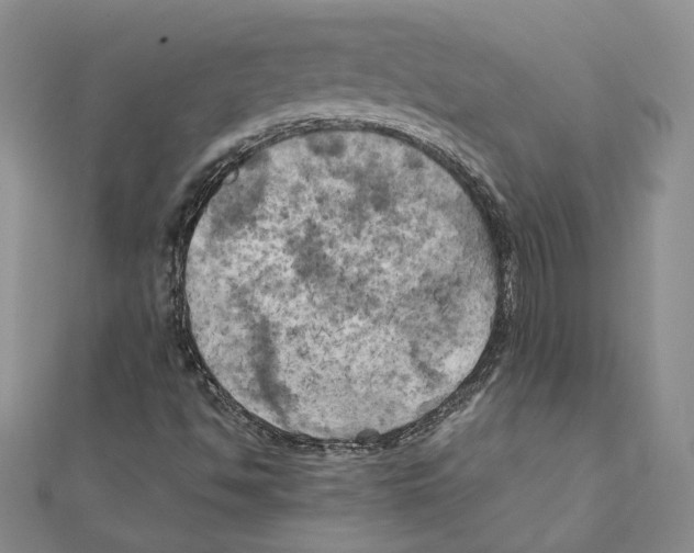 X0000111151494200907281121