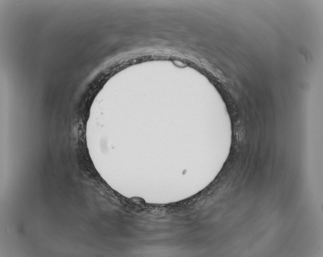 X0000111151495200907281121