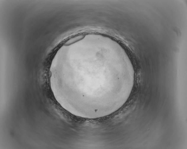 X0000111151496200907281121