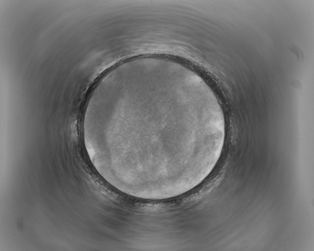 X0000111151497200907281122