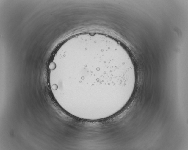 X0000111151498200907281122