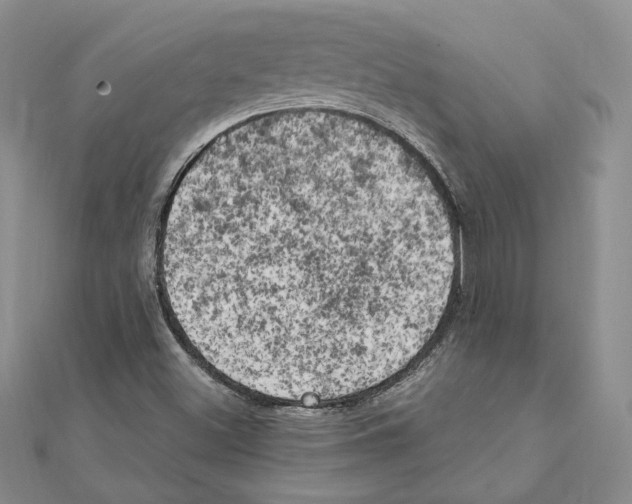 X0000111151500200907281122