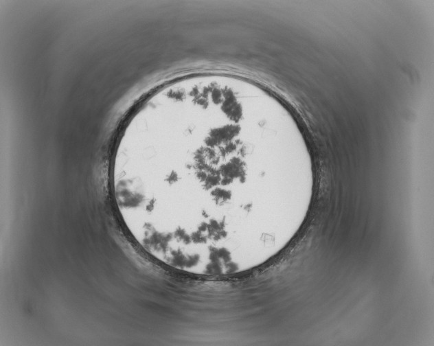 X0000111151503200907281122