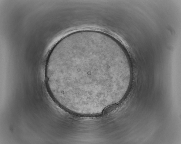 X0000111151504200907281122