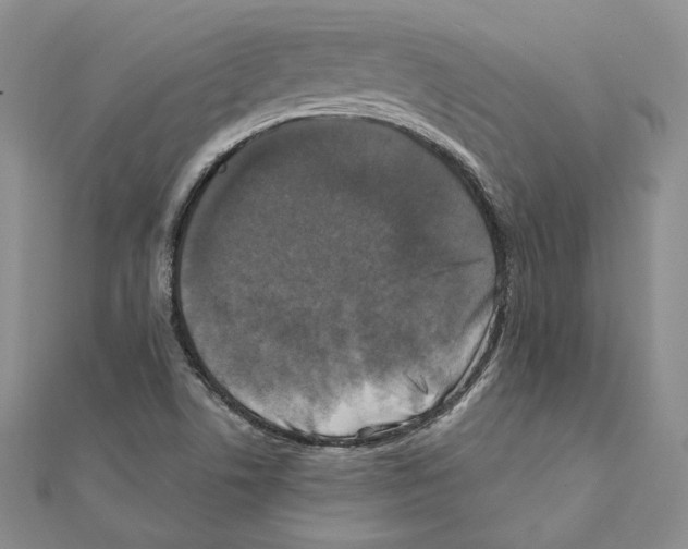 X0000111151506200907281122