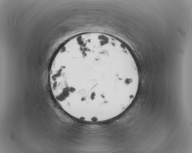 X0000111151507200907281122