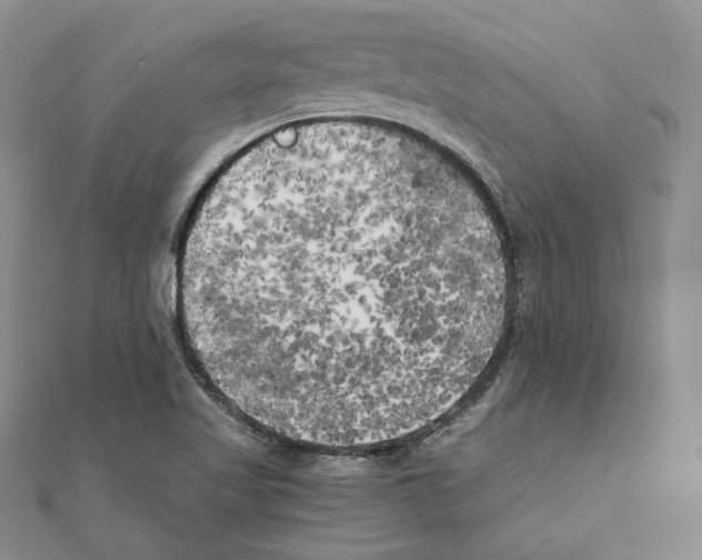 X0000111151509200907281122