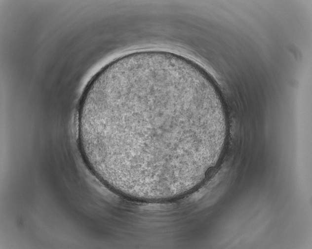 X0000111151510200907281122