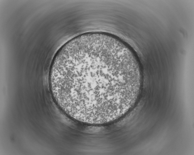 X0000111151513200907281122