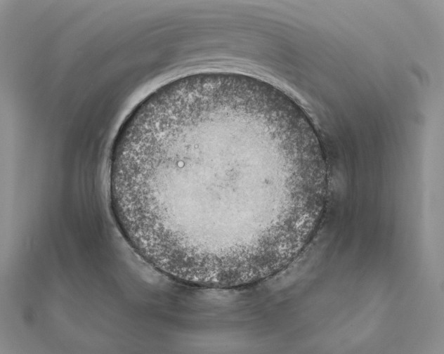 X0000111151514200907281122