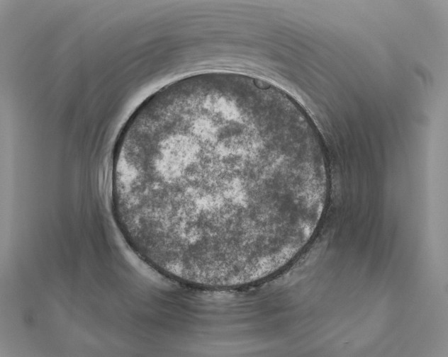 X0000111151515200907281122