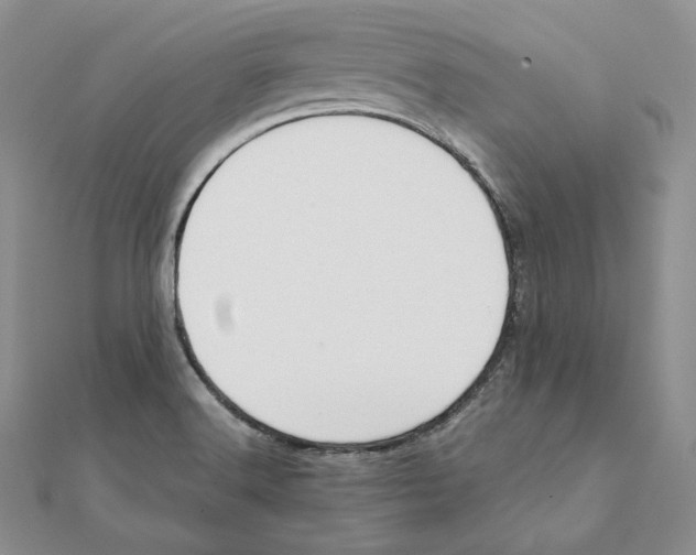 X0000111151516200907281122