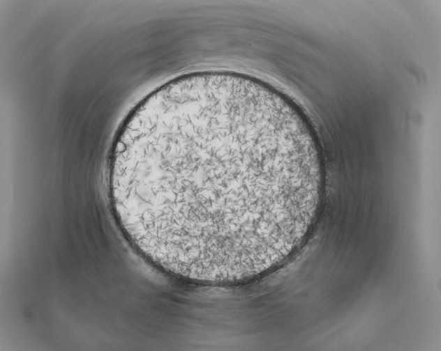 X0000111151517200907281122