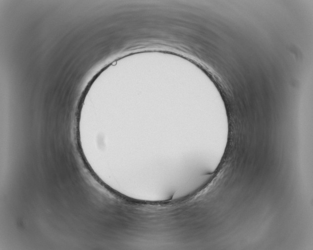 X0000111151518200907281122