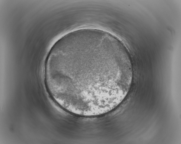 X0000111151519200907281122